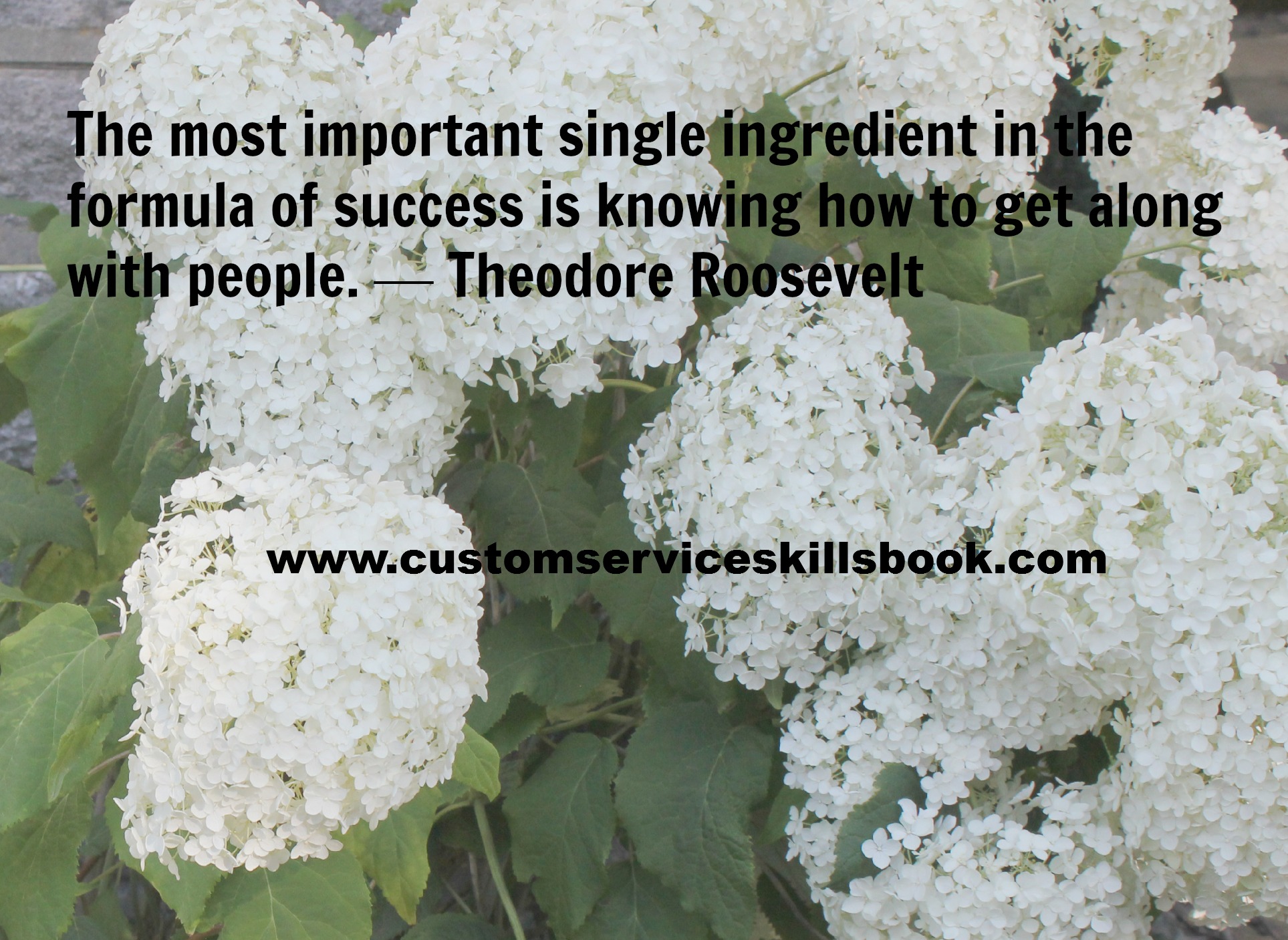 Interpersonal Communication Quote Theodore Roosevelt